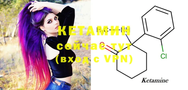 индика Надым