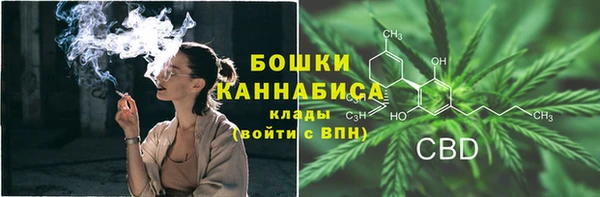 ГАЛЛЮЦИНОГЕННЫЕ ГРИБЫ Навашино
