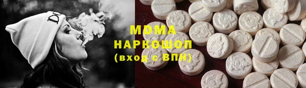индика Надым