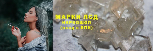 индика Надым