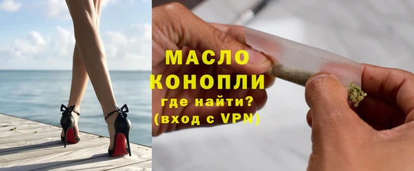 индика Надым