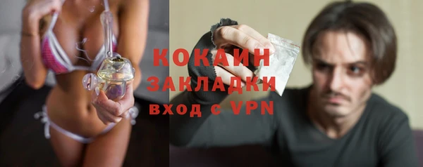 индика Надым