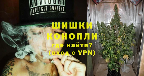 индика Надым