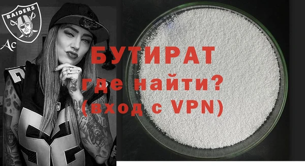 индика Надым