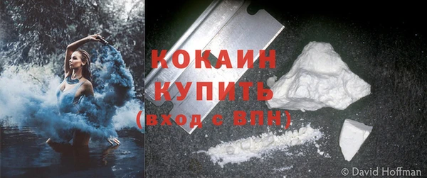 индика Надым