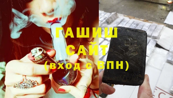 индика Надым