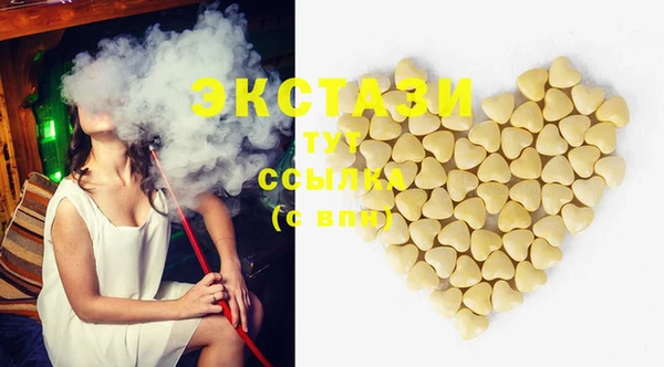 индика Надым